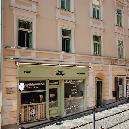 Priestranny Apartman Moja Marina V Srdci Stiavnice Banská Štiavnica 외부 사진