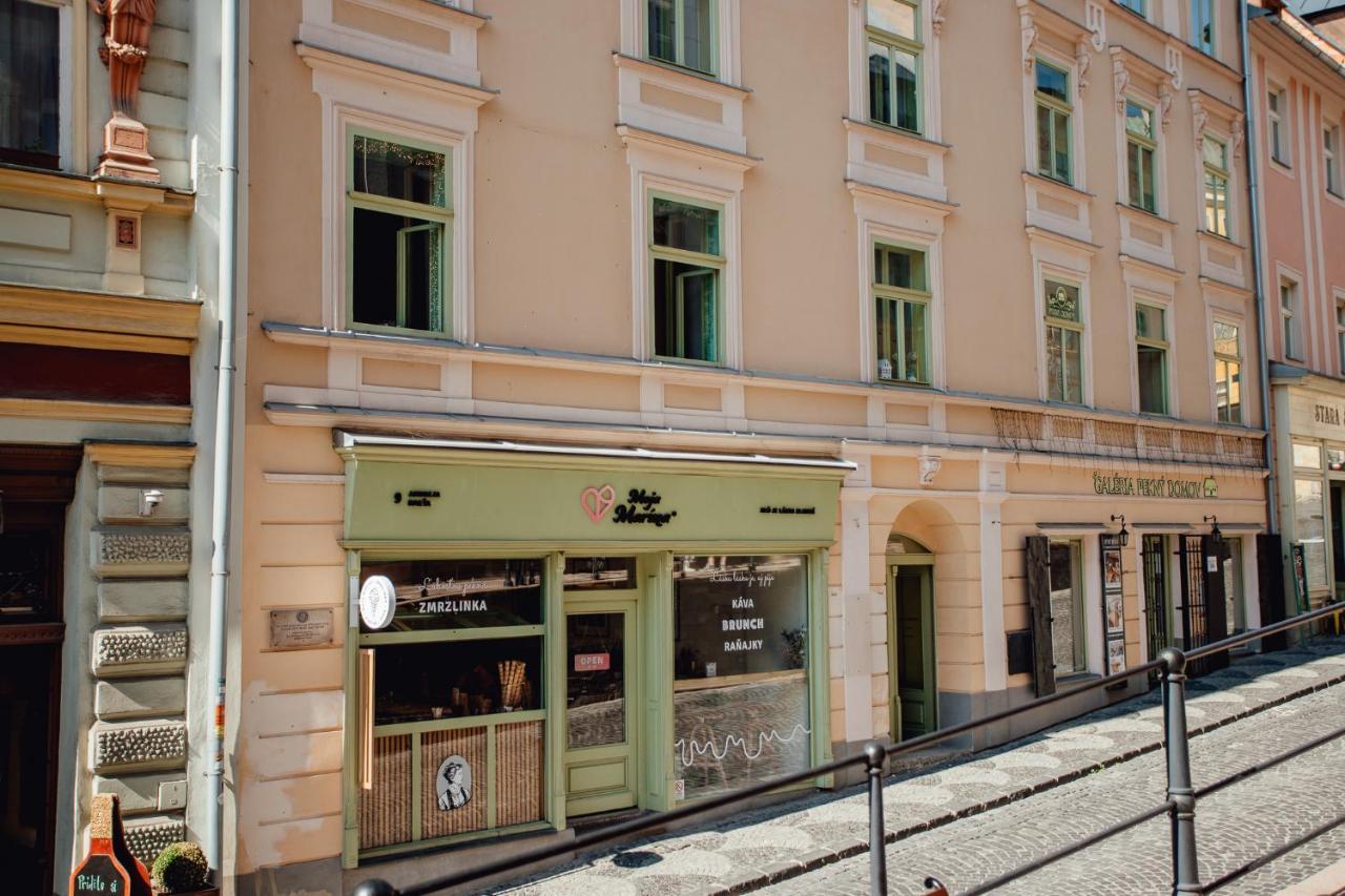 Priestranny Apartman Moja Marina V Srdci Stiavnice Banská Štiavnica 외부 사진